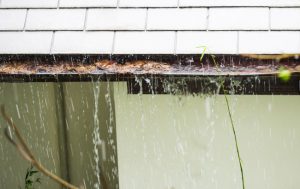 The Importance of Professional Gutter Washing ServicesThe Importance of Professional Gutter Washing Services