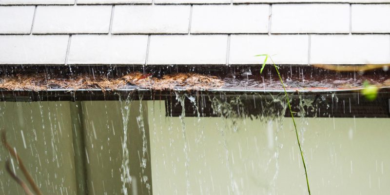 The Importance of Professional Gutter Washing Services