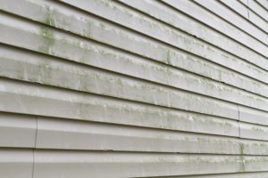 Three Signs You Need Exterior House Washing Services