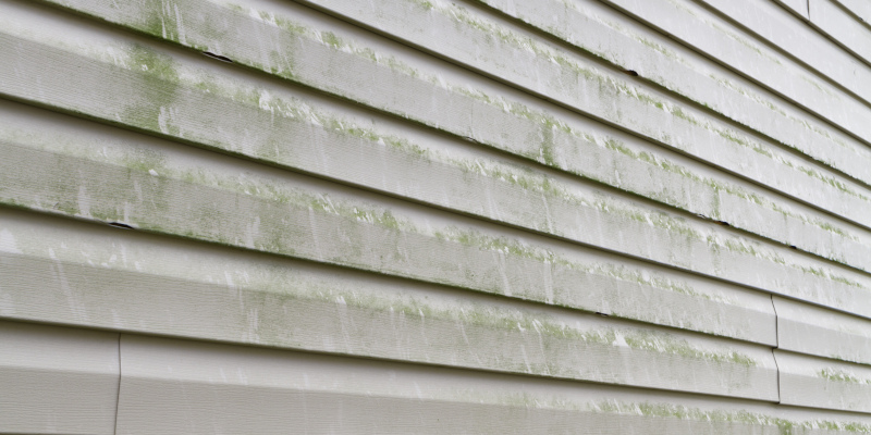 Three Signs You Need Exterior House Washing Services