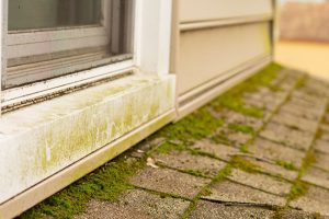 Why Exterior House Cleaning is an Important Part of Home Maintenance