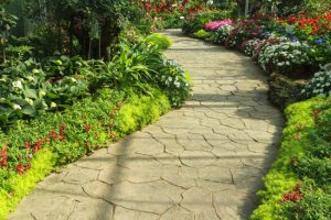 The Importance of Walkway Cleaning and How Soft Washing Helps