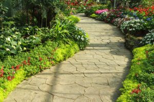 The Importance of Walkway Cleaning and How Soft Washing Helps The Importance of Walkway Cleaning and How Soft Washing Helps