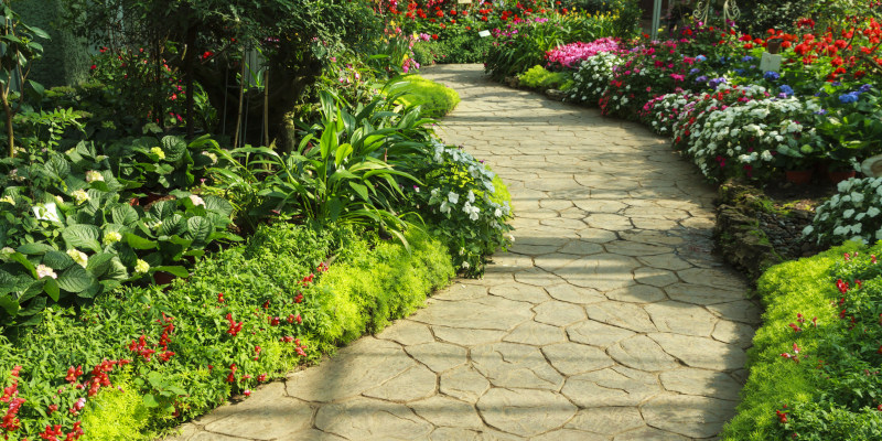 The Importance of Walkway Cleaning and How Soft Washing Helps