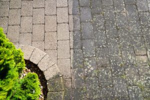 Power Washing vs. Softwashing: Why They Are Not the Same Specials