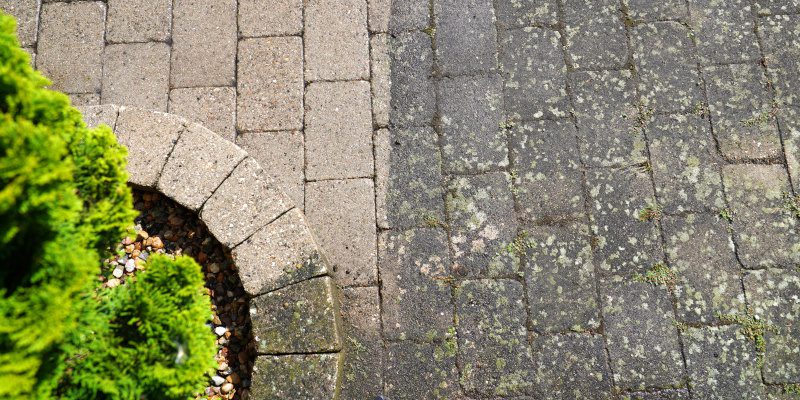 Power Washing vs. Softwashing: Why They Are Not the Same